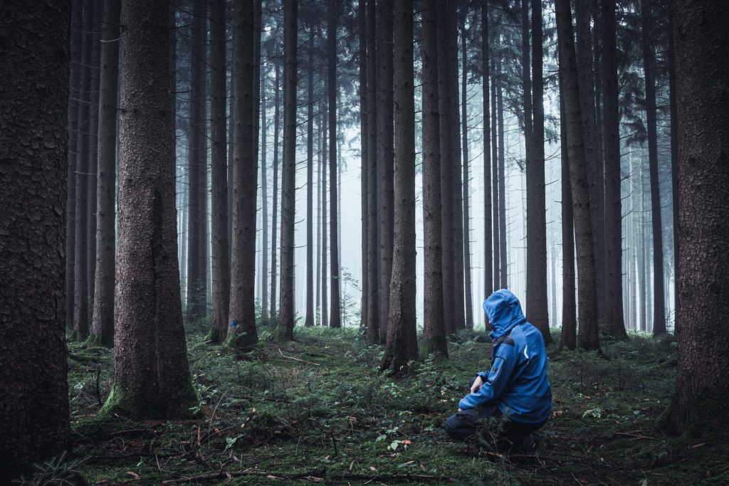 Survival im Wald