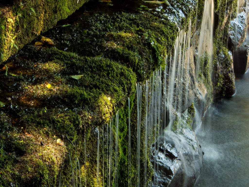 Wasser finden und reinigen