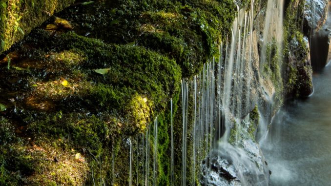 Wasser finden und reinigen