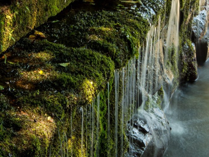 Wasser finden und reinigen
