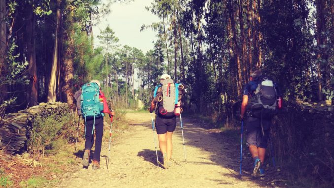 Gesundheitliche Vorteile von regelmäßigem Wandern