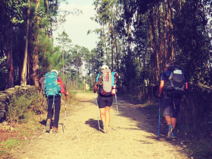 Gesundheitliche Vorteile von regelmäßigem Wandern