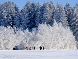 Wandern im Winter