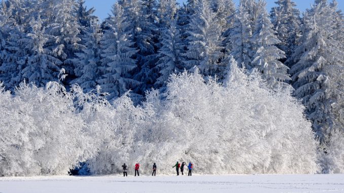 wandern-im-winter Wandern im Winter