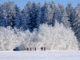 Wandern im Winter
