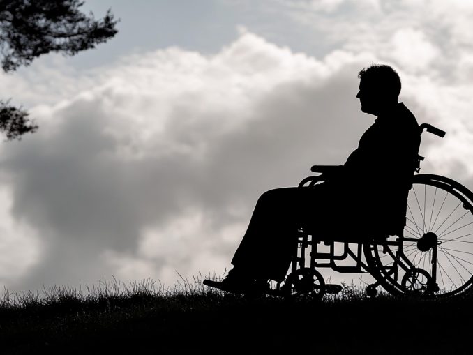 Barrierefreie Naturerlebnisse