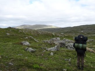 Backpacking in Schweden - Freiheit und absolute Wildnis erleben.