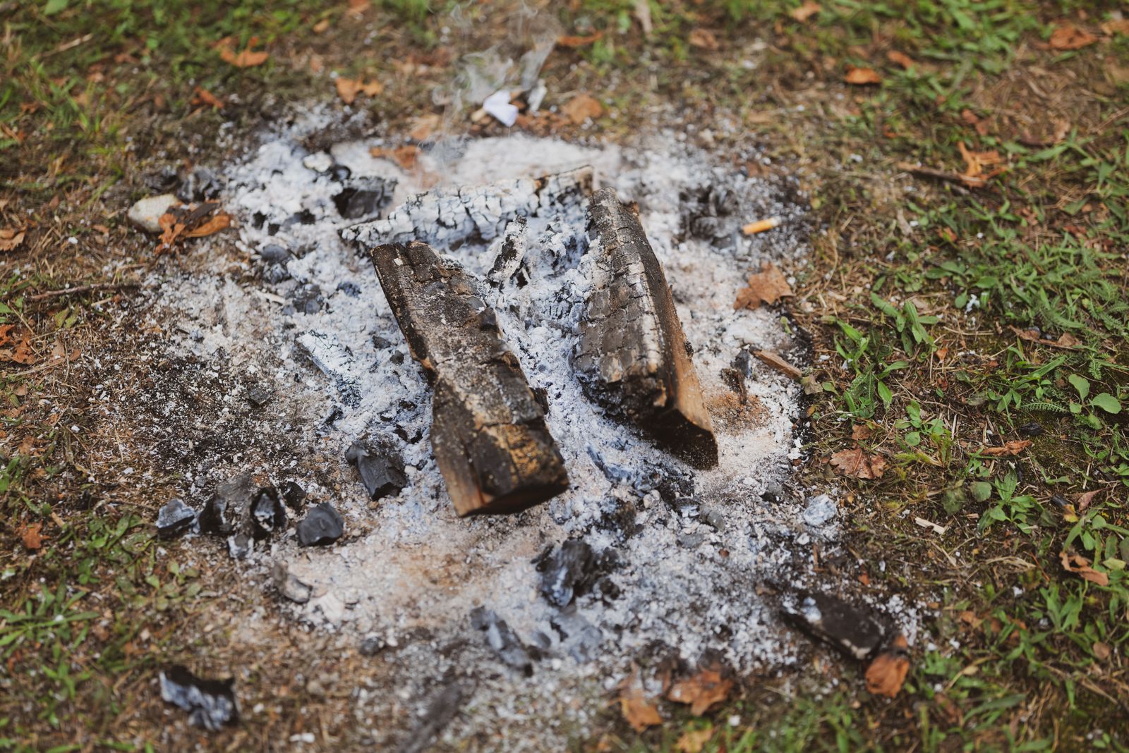 Nahaufnahme einer abgebrannten Feuerstelle mit Asche und verkohltem Holz, ringsum Gras
