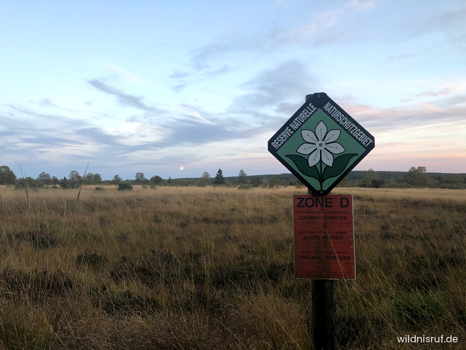 Dreisprachiges Schild „Réserve naturelle / Naturschutzgebiet“ mit rotem Zusatzschild „Zone D – Zugang verboten, Accès interdit, Toegang verboden“, dahinter die weite Vennfläche im Abendlicht