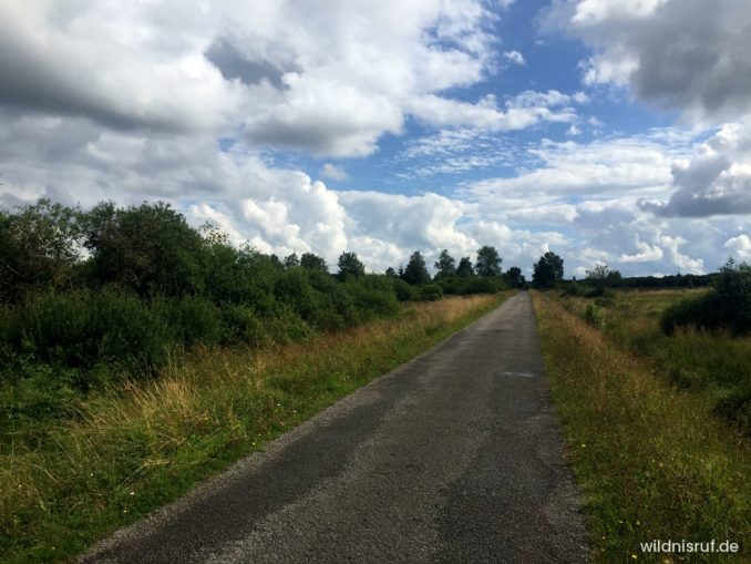 Schmaler asphaltierter Weg, der geradeaus durch die offene Heide- und Moorlandschaft des Hohen Venns führt, darüber Schönwetterwolken