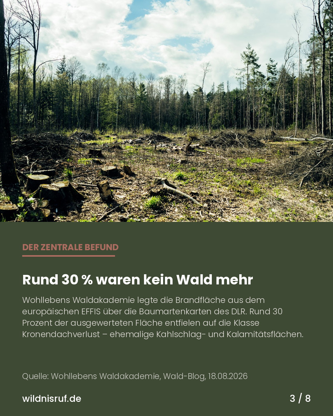 Infokarte mit Foto einer Kahlschlagfläche: Rund 30 Prozent der ausgewerteten Fläche entfielen auf die Klasse Kronendachverlust