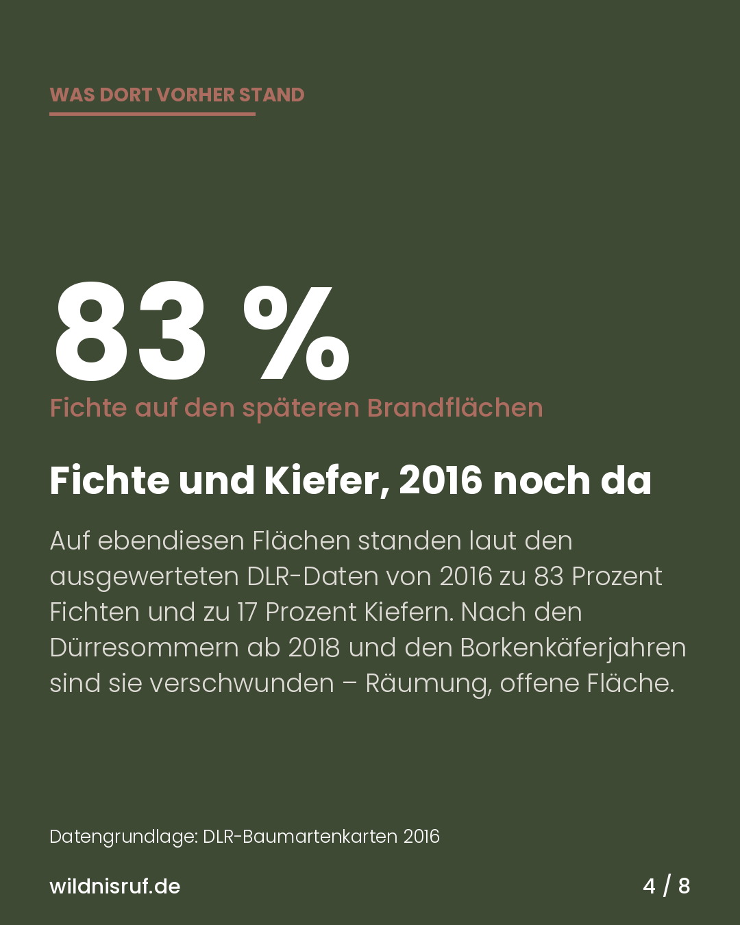 Infokarte: Auf den späteren Brandflächen standen 2016 laut DLR-Daten zu 83 Prozent Fichten
