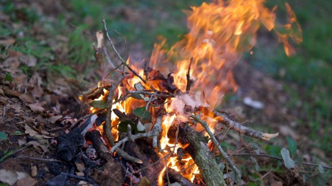 Brennendes Lagerfeuer mit orangen Flammen in grüner Waldumgebung