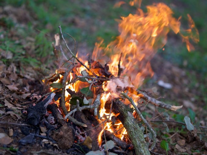 Brennendes Lagerfeuer mit orangen Flammen in grüner Waldumgebung