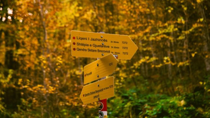Gelbe Wegweiser an einem Pfosten in einem herbstlichen Waldstück