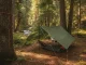 Tarp im Wald mit unterschiedlichen Befestigungs-Knoten.
