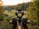 Zielfernrohr mit beleuchtetem Absehen für Jagd vor einer Waldlichtung in der Dämmerung.
