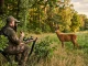 Bei der Blattjagd auf den Rehbock sitzt ein Jäger gedeckt am Waldrand, während ein Rehbock auf einer Wiese steht.