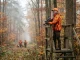 Jäger beobachtet beim Drückjagd-Ablauf von einem sicheren Hochsitz eine herbstliche Waldschneise.