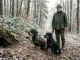 Teckel und Jagdterrier bei der Erdhunde-Jagd vor einem natürlichen Bau.