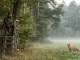 Jäger lockt einen Fuchs mit einer Mauspfeife vom Hochsitz aus.