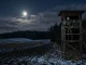 Jäger bei der Nachtjagd auf Schwarzwild auf einem Hochsitz über einem mondhellen Feld.