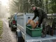 Jäger bereitet den Transport erlegten Wildes in einem sauberen, belüfteten Wildanhänger vor.