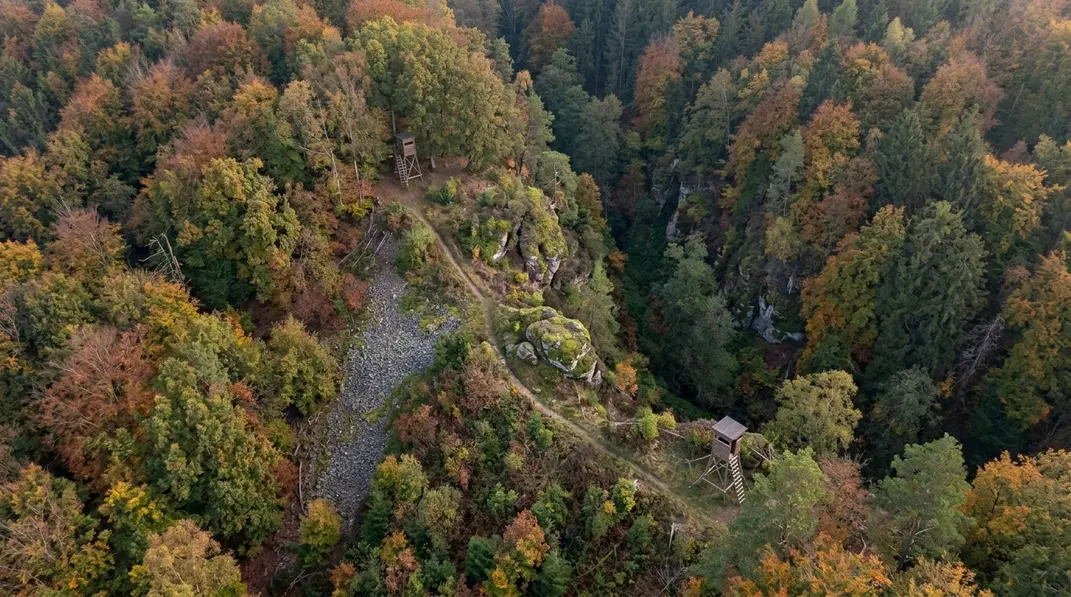 Schmaler Wildwechsel zwischen Felsen und Graben in einem bewaldeten Hanggelände mit zwei erhöhten Ansitzeinrichtungen.